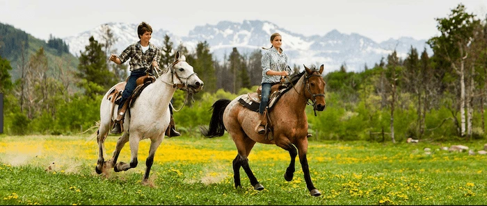 Confident plus-size woman riding Hassocks a horse through a field with a smile on her face.